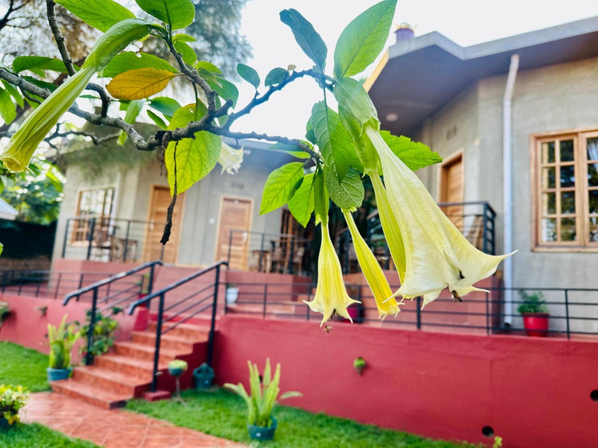 Babylon Lodge Marangu Exterior foto